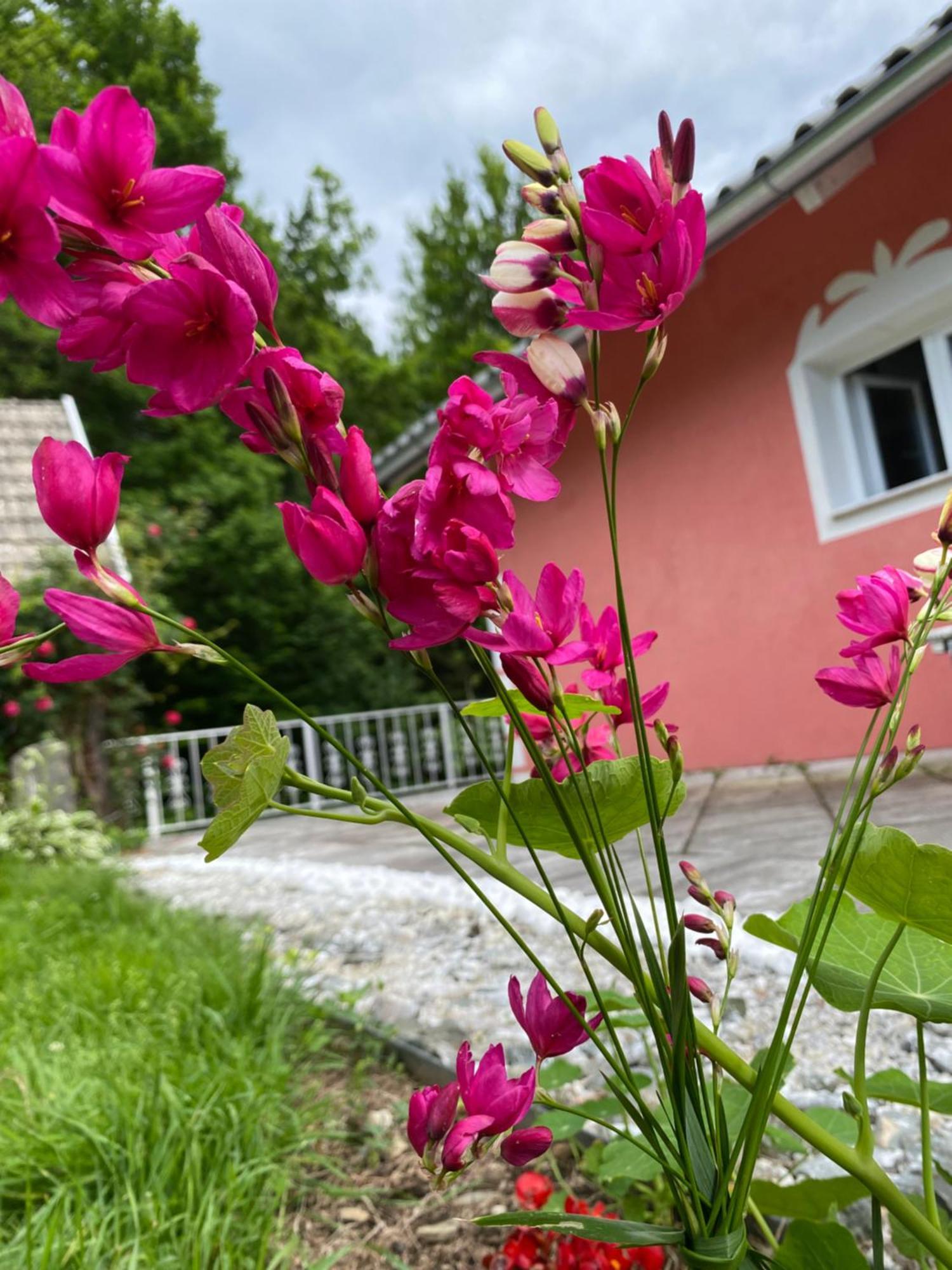 Pension Hadanig Apartman Techelsberg Kültér fotó